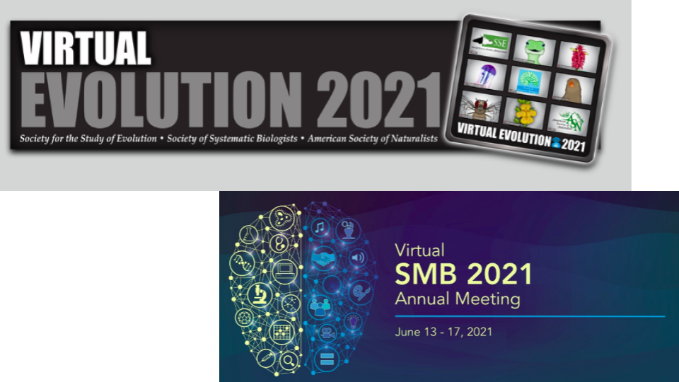 SMB2021 and Virtual Evolution 2021