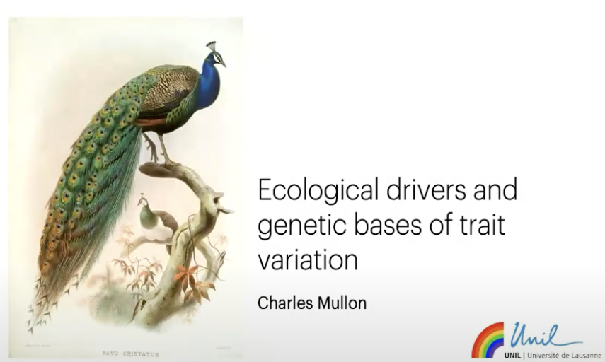 Talk: Ecological drivers and genetic bases of trait variation